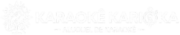 karaokekarioka.com.br